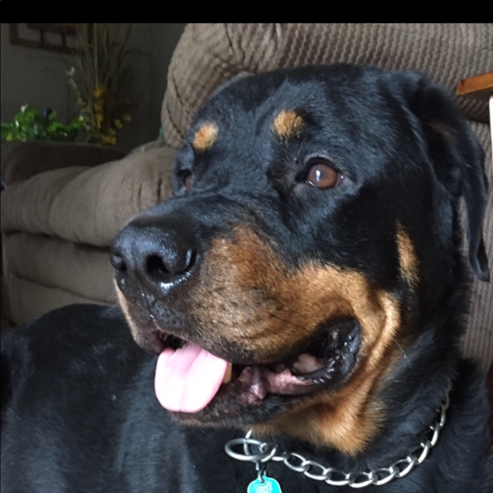 Meet your Posher, Audrey j